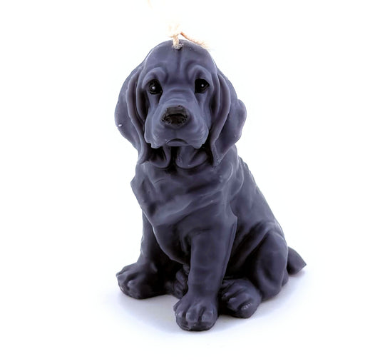 Basset Hound puppy Candle