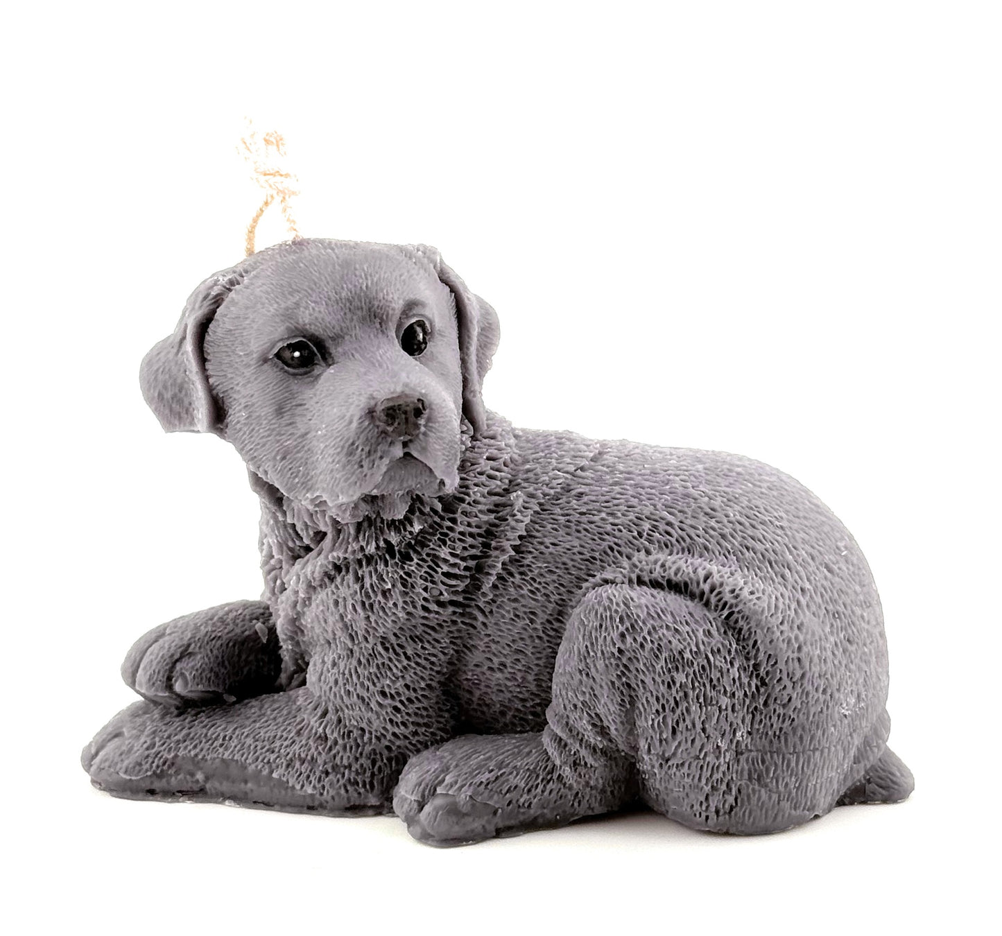 Lying Labrador Retriever Candle