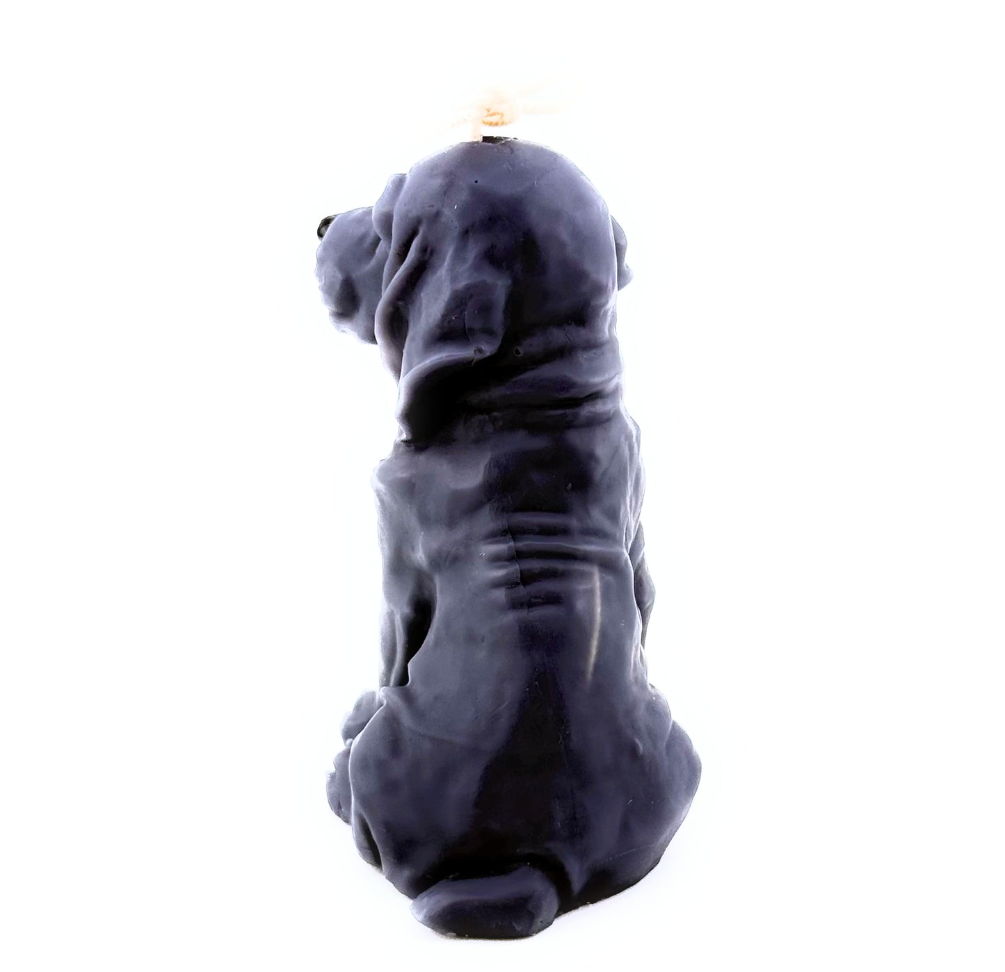 Basset Hound puppy Candle