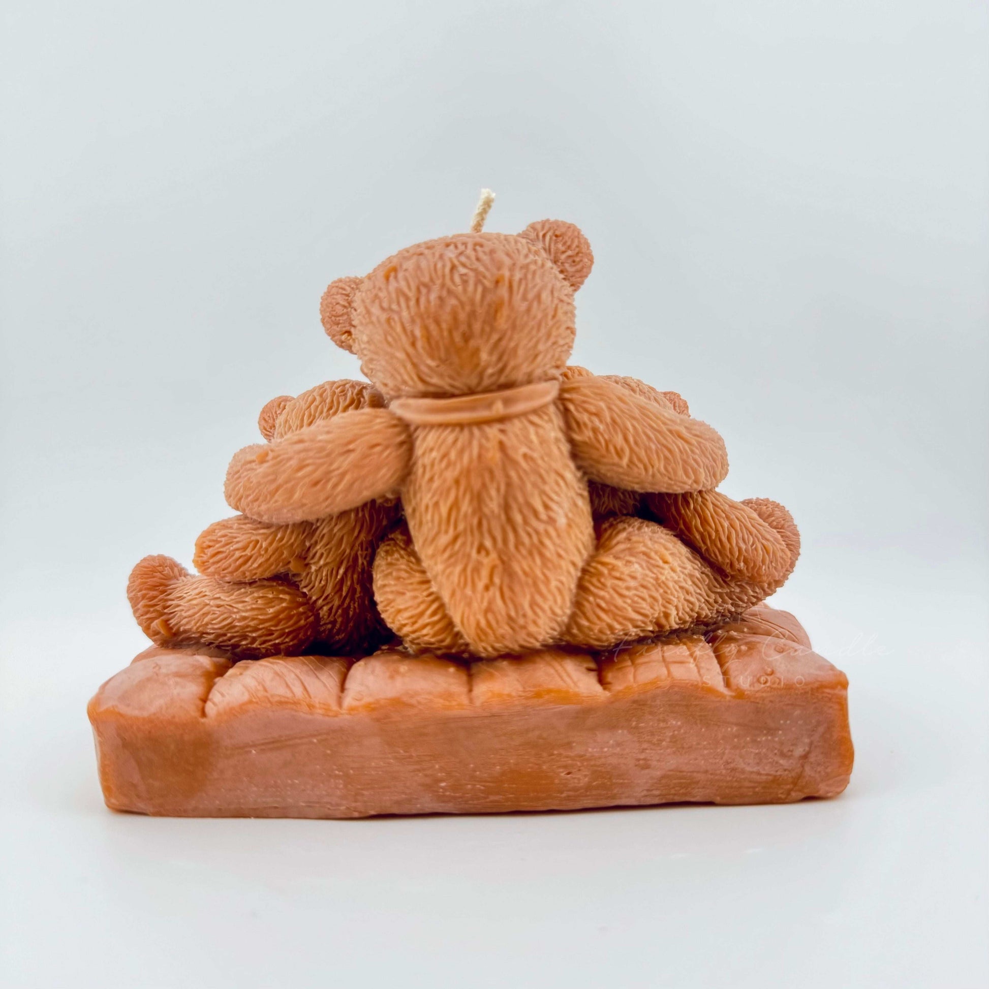 Teddy bear Family