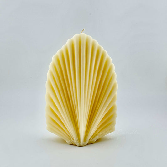 Coral Shell Candle